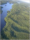 aerial-view-of-boreal-forest.jpg [150514 octets]