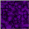 purple.and.black.jpg [24302 octets]