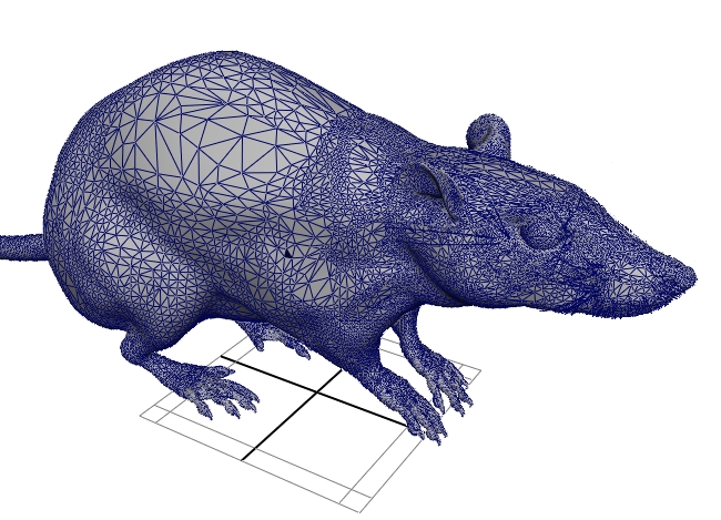 Photo d'un mod&egrave;le (statique)