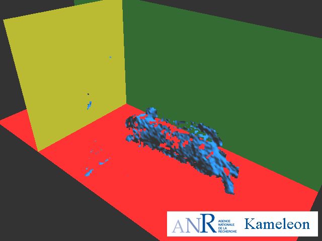 Surface 3D en mouvement : capture du déplacement d'un rat