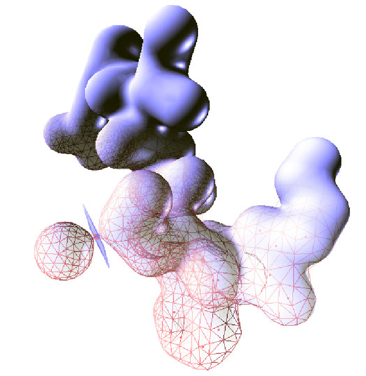 Triangulation of implicit surfaces - D. Rumiano/A. Bouthors/M.
      Nesme/F. Hétroy 2007