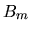 $ B_m$