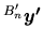 $ \mbox{${}^{B'_n}\mbox{\boldmath $y'$}$}$