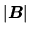 $ \mbox{$\vert\mbox{\boldmath $B$}\vert$}$