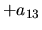 $ + a_{13}$