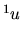 $\displaystyle \mbox{${}^{1}u$}$