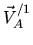 $ \vec V^{/{1}}_{A}$