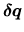 $\displaystyle \mbox{\boldmath$\delta q$}$