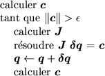 \resizebox{!}{2.5cm}{\includegraphics{algoIteratif}}