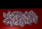 intestine_plan (15 MB)