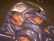 intestine_plan (15 MB)