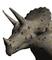 d_triceratops4.png [445Ko]
