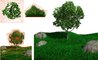 _tree_grass.png [672Ko]